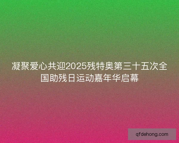 凝聚爱心共迎2025残特奥第三十五次全国助残日运动嘉年华启幕