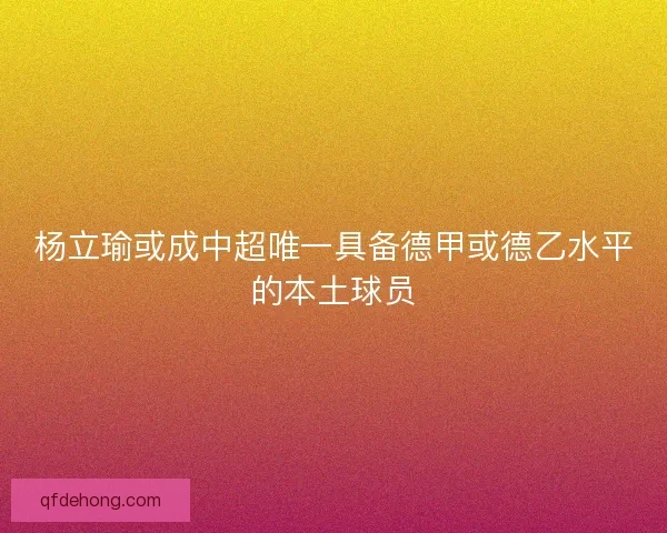 杨立瑜或成中超唯一具备德甲或德乙水平的本土球员
